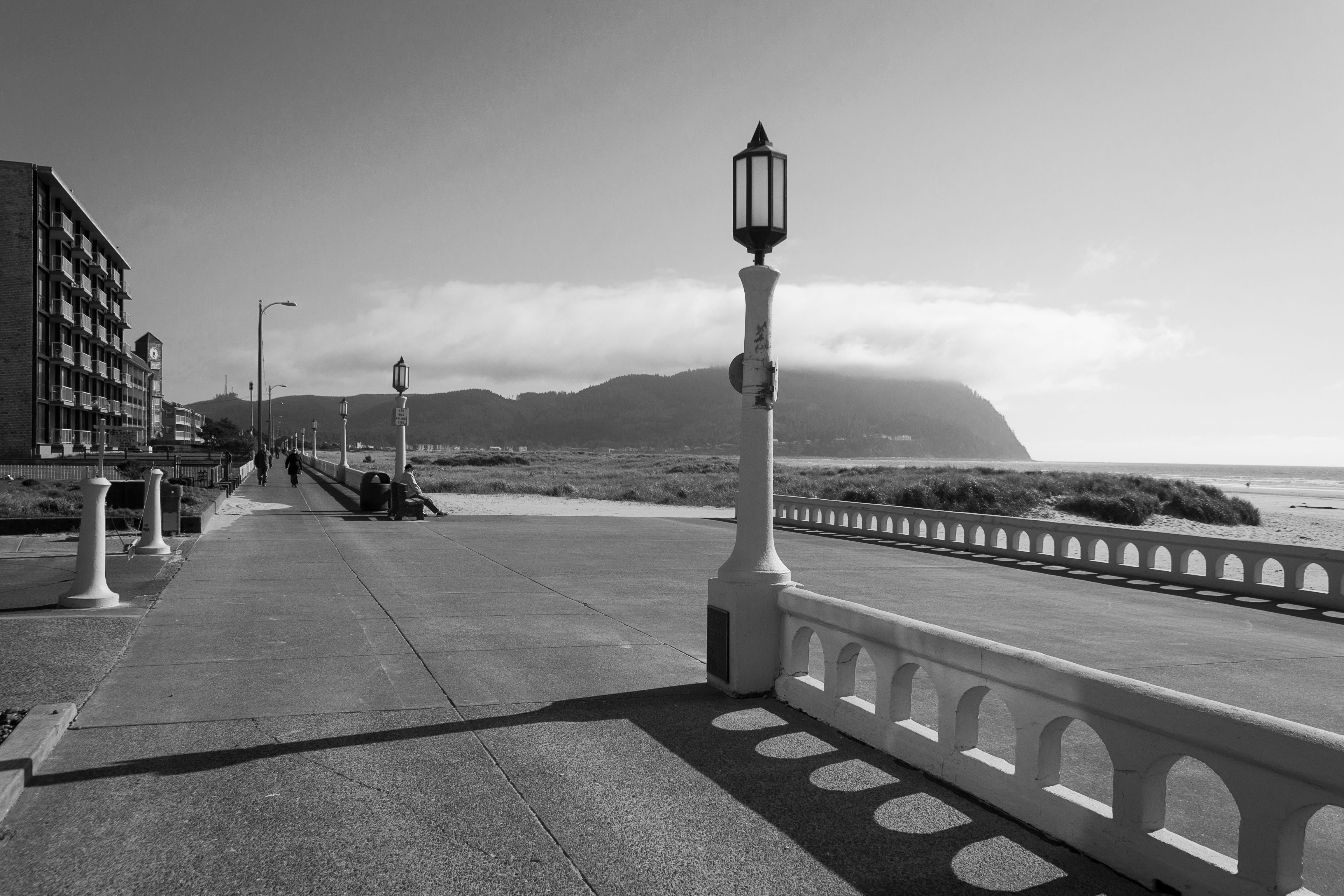 North Coast field image