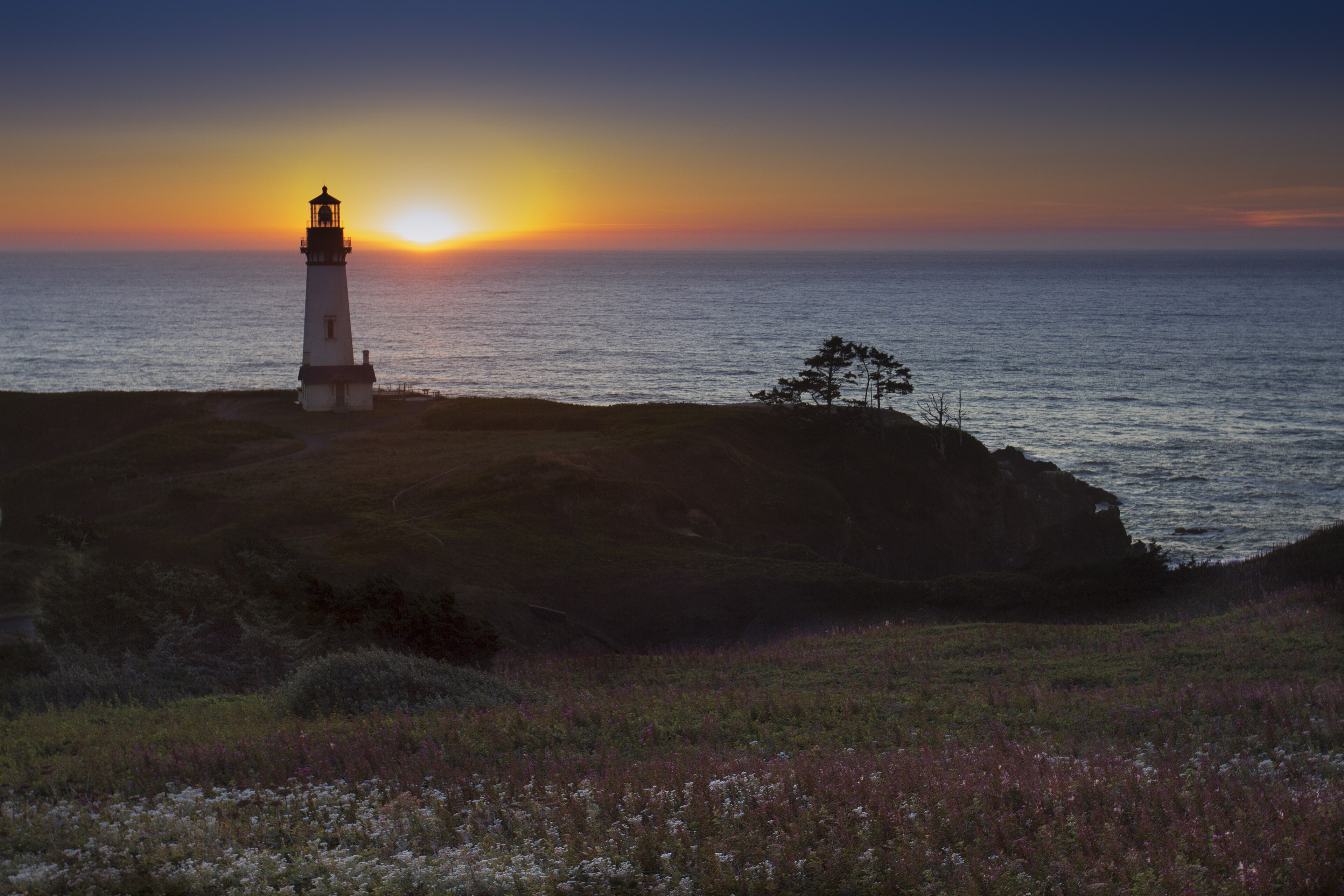 Central Coast field image