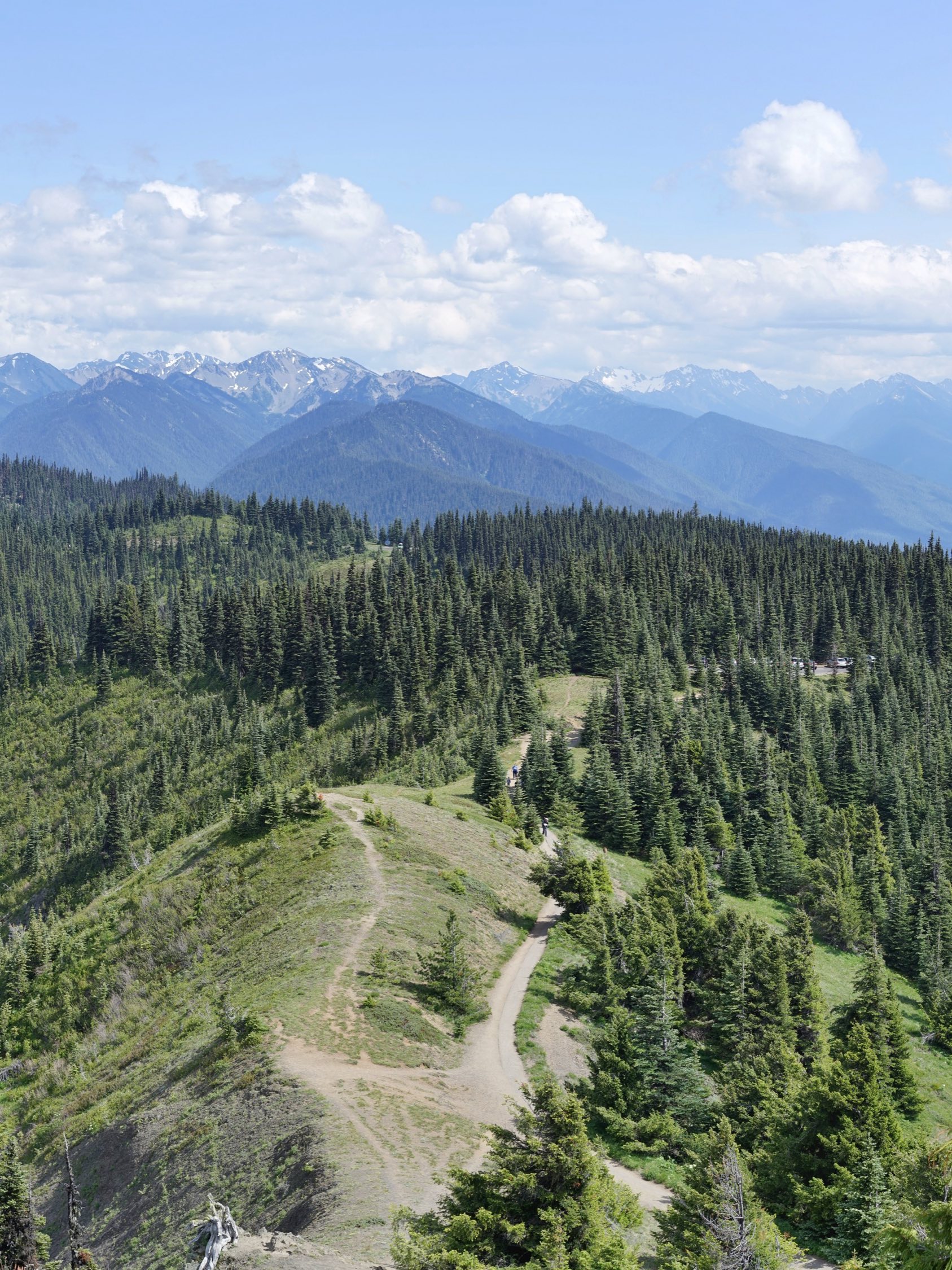 Hurricane Ridge panorama, Olympic National Park